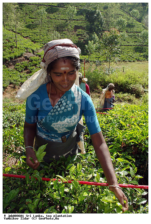 ���-�����, ���������, ���, ������ ���������