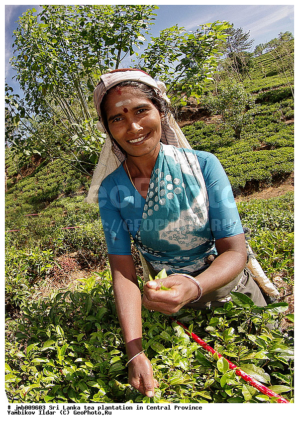 ���-�����, ������, ���������, ���, ������ ���������