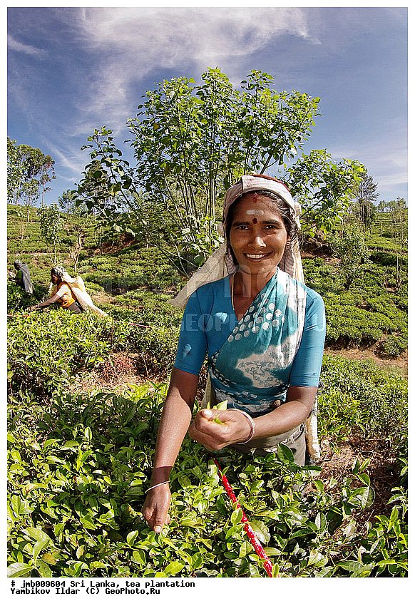 ���-�����, ���������, ���, ������ ���������