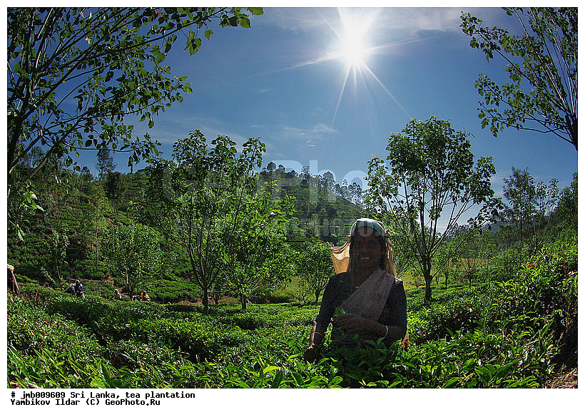 ���-�����, ���������, ���, ������ ���������