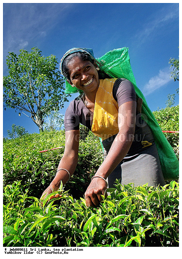 ���-�����, ���������, ���, ������ ���������