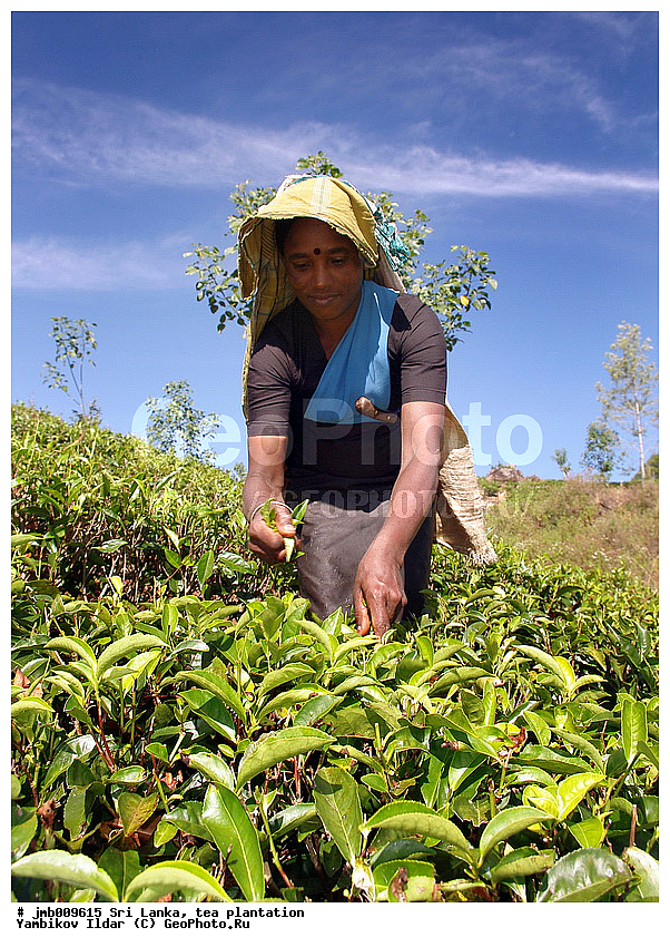 ���-�����, ���������, ���, ������ ���������