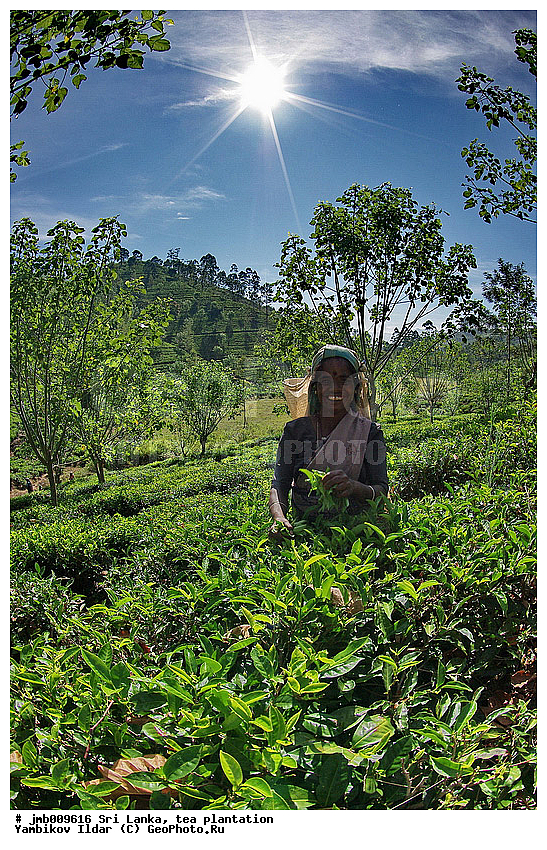 ���-�����, ���������, ���, ������ ���������