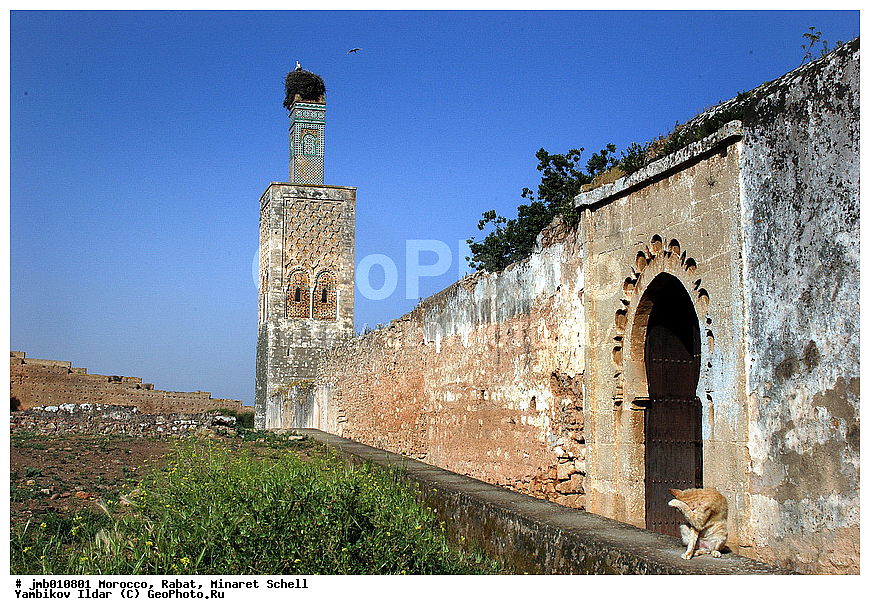 �������, ������� ������, �����, �����������, �����