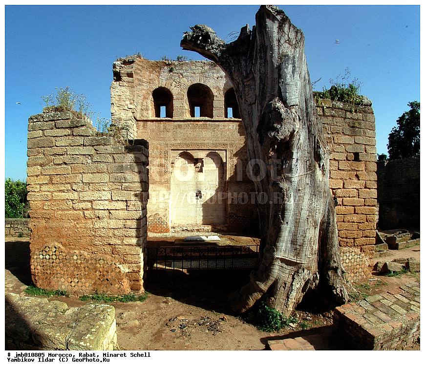 �������, ������� ������, �����, �����������, �����