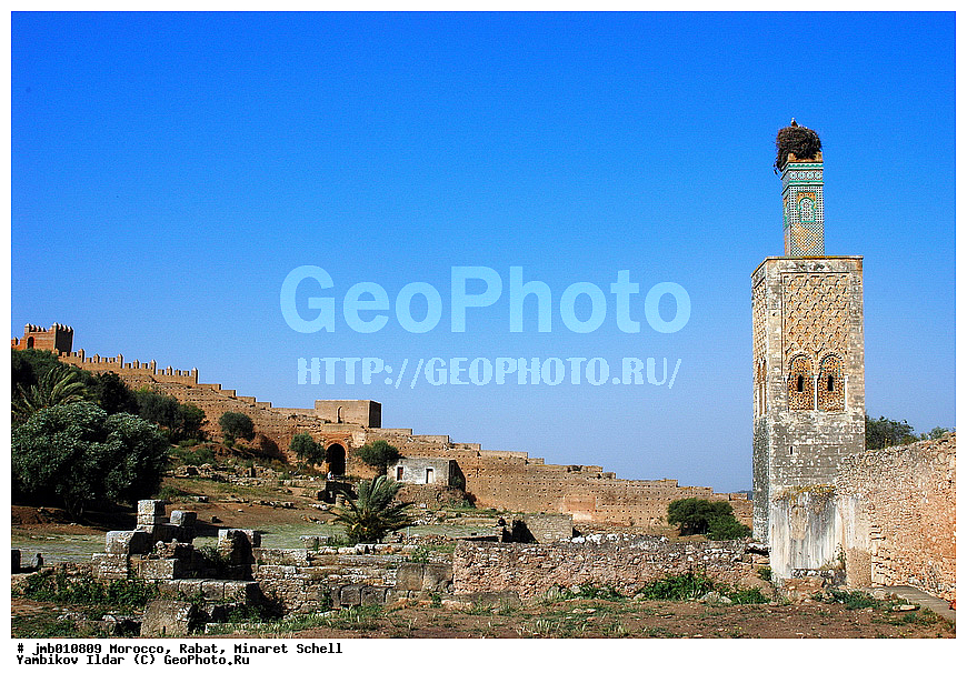 �������, ������� ������, �����, �����������, �����