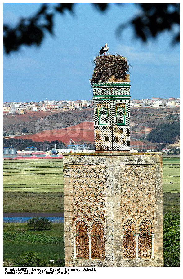 �������, ������� ������, �����, �����������, �����