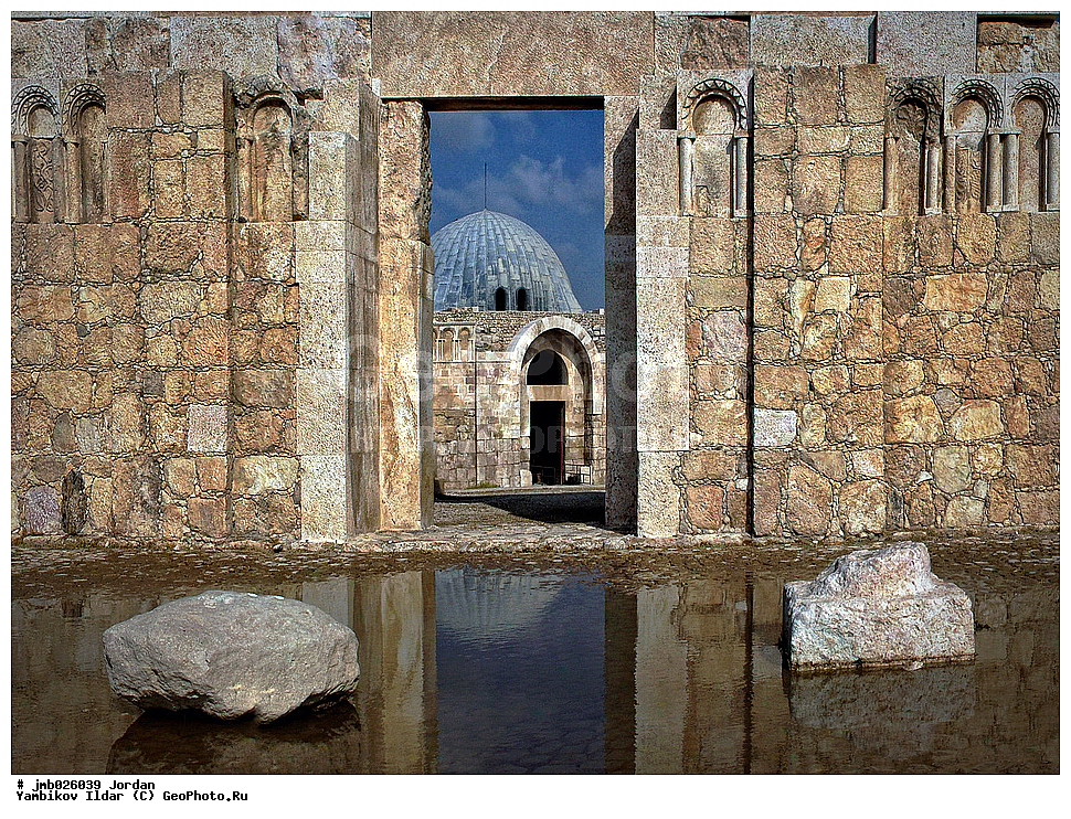 ��������, ���������� ����������� �����������, �����, ������