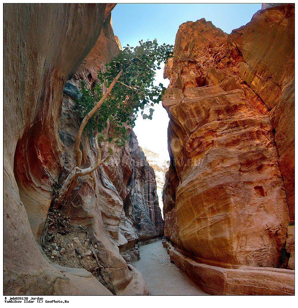 ��������, ���������� ����������� �����������, ������ ���