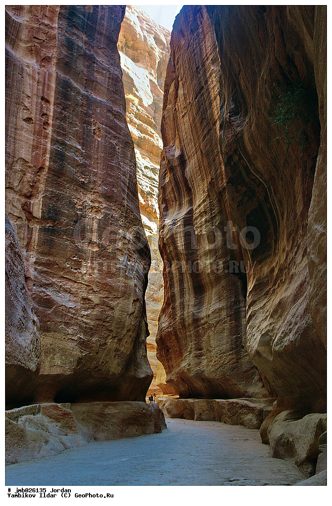 ��������, ���������� ����������� �����������, ������ ���