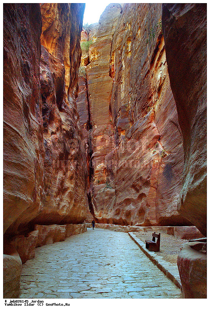 ��������, ���������� ����������� �����������, ������ ���