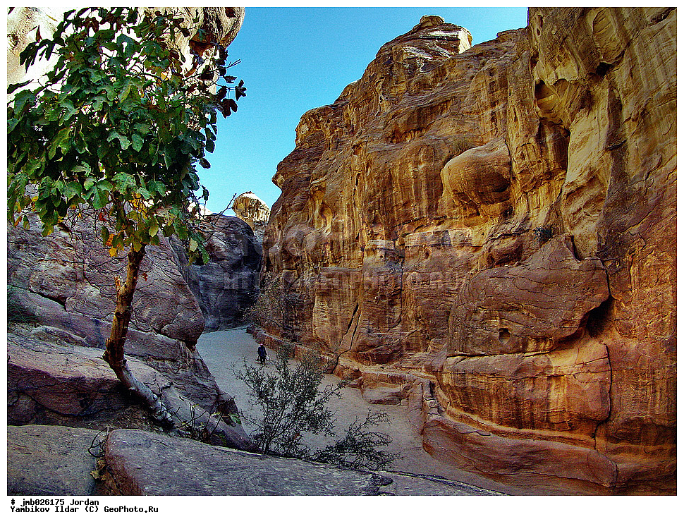 ��������, ���������� ����������� �����������, ������ ���