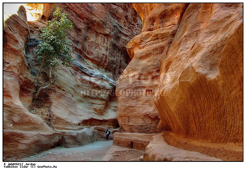 ��������, ���������� ����������� �����������, ������ ���