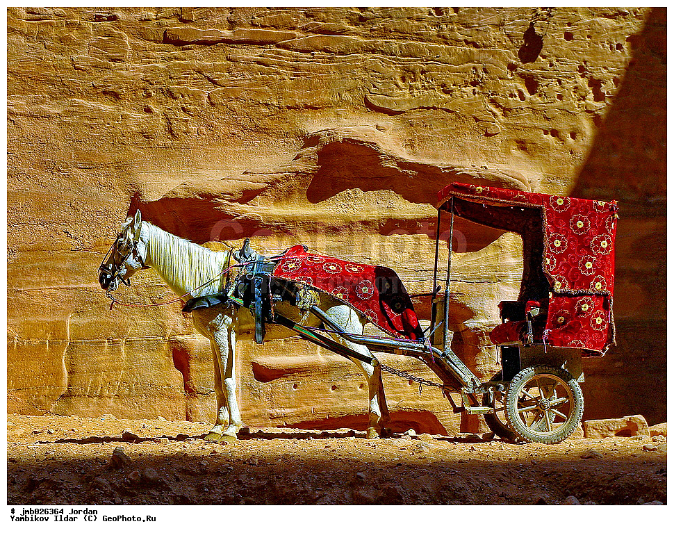 ��������, ���������� ����������� �����������, ������������