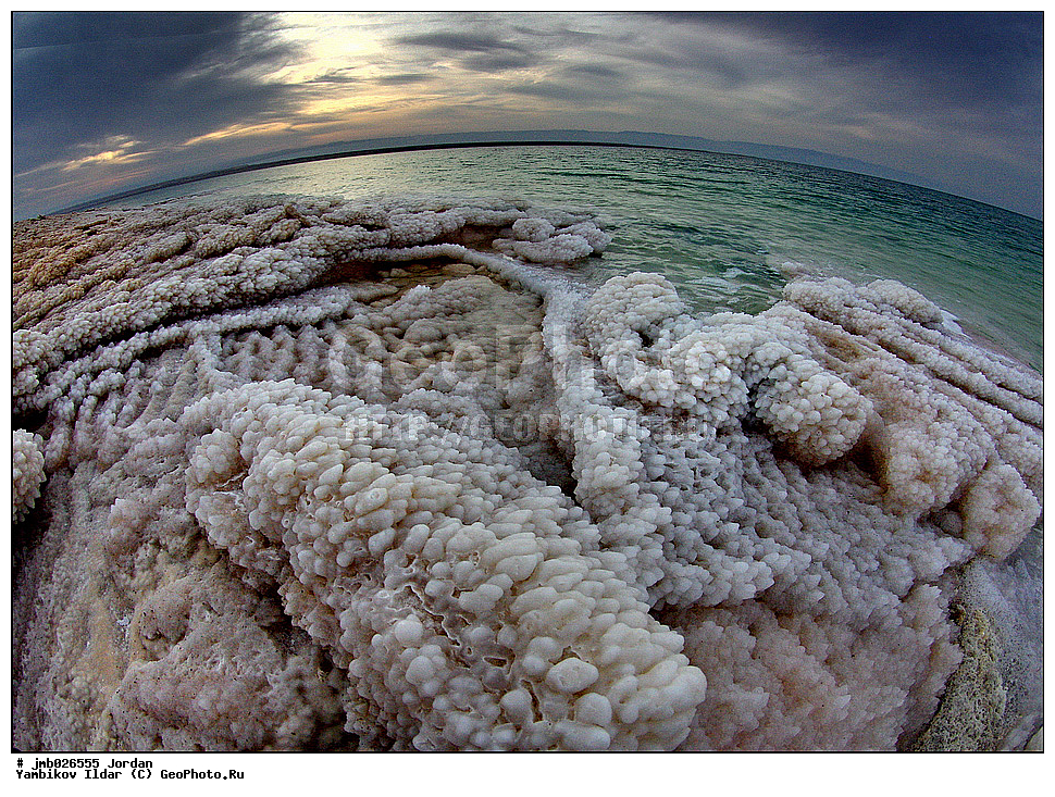 ��������, ���������� ����������� �����������, ̸����� ����, ������� ����