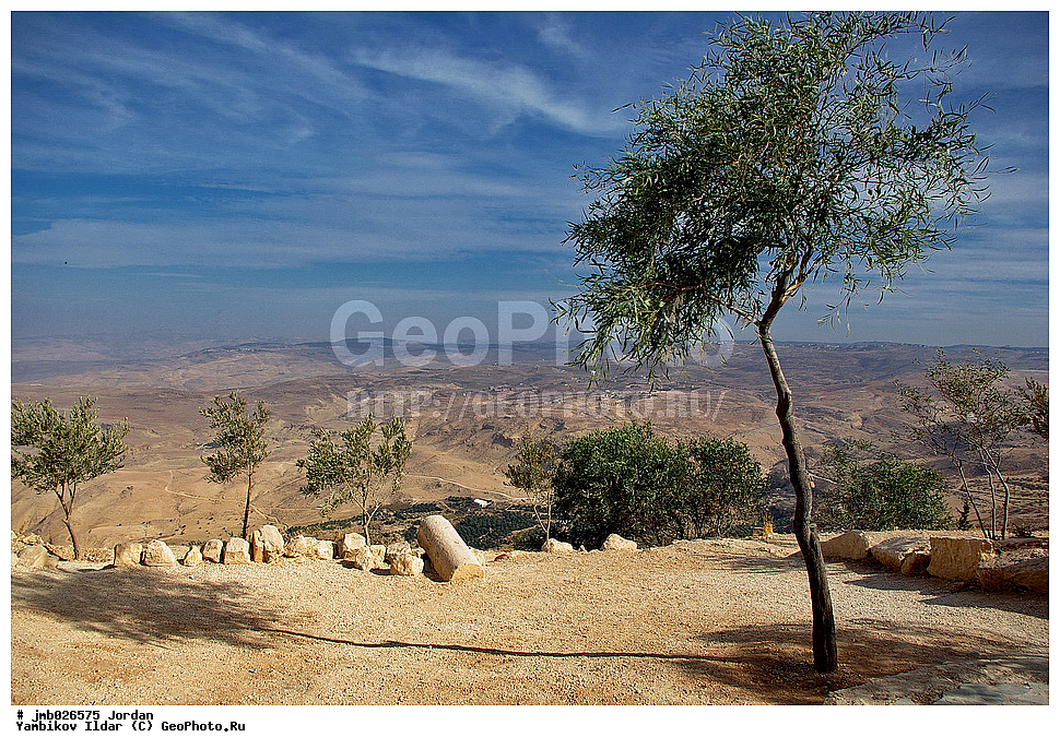 ��������, ���������� ����������� �����������, ̸����� ����, ������� ����, ���� ����, ������, ����������� �����, ����