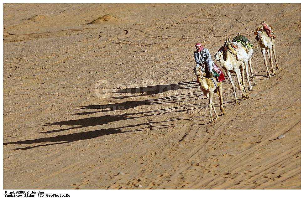 ��������, ���������� ����������� �����������, ������� ���� ���, �������, ������ ������