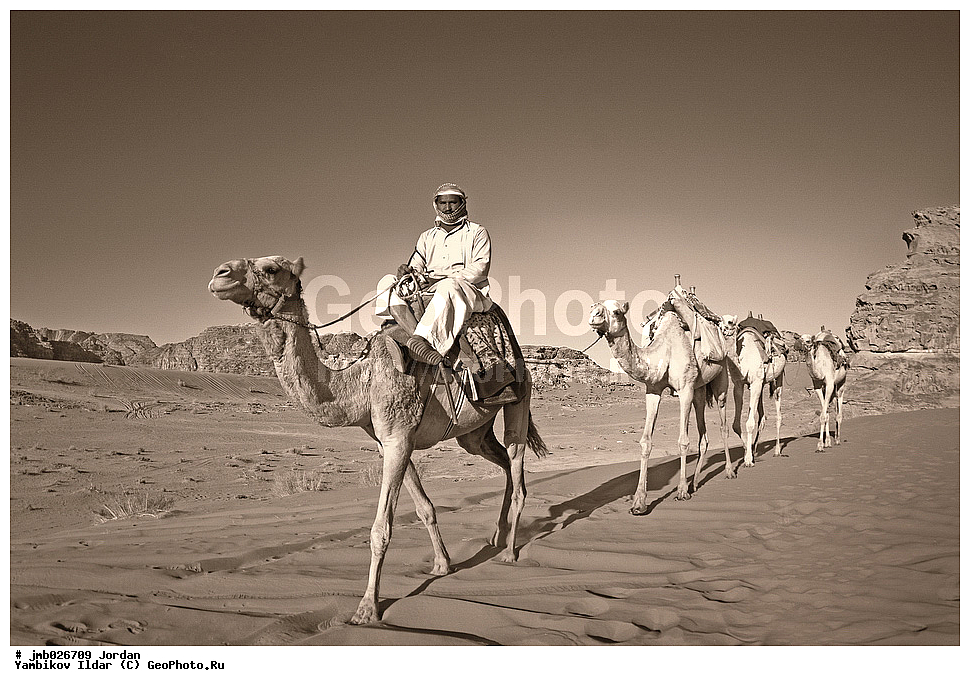 ��������, ���������� ����������� �����������, ������� ���� ���, �������, ������ ������