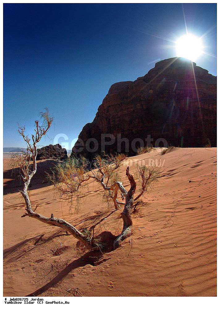 ��������, ���������� ����������� �����������, ������� ���� ���, �������, ������ ������