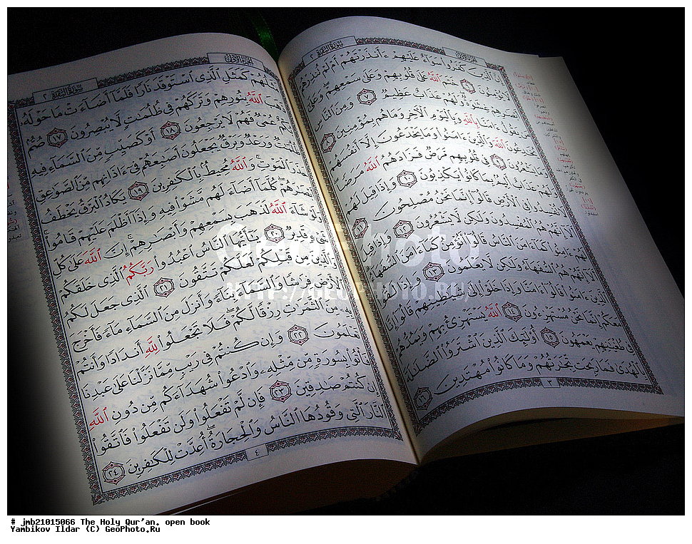  ���������, �����, ���������, �����, ������� ������, �����, �������������