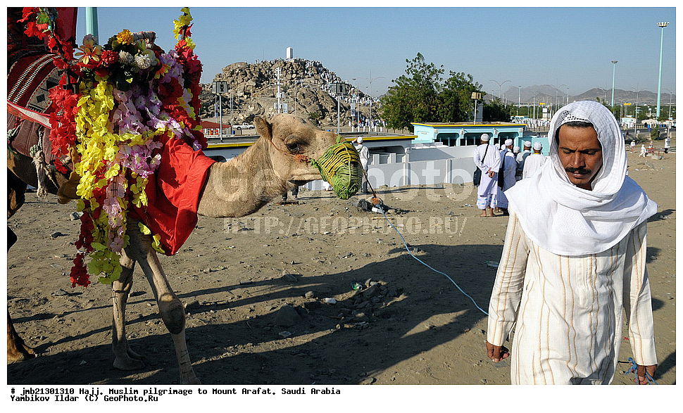  ����, �������������, ����������, �����,  �����, �������������, ������� ���-�����, ���������� ������, ���� ������