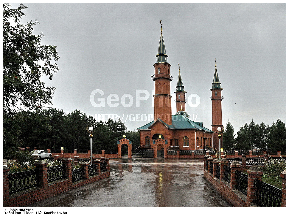 �����, ������, ������ ������, �����, �������������, �����������, ��������� ����������