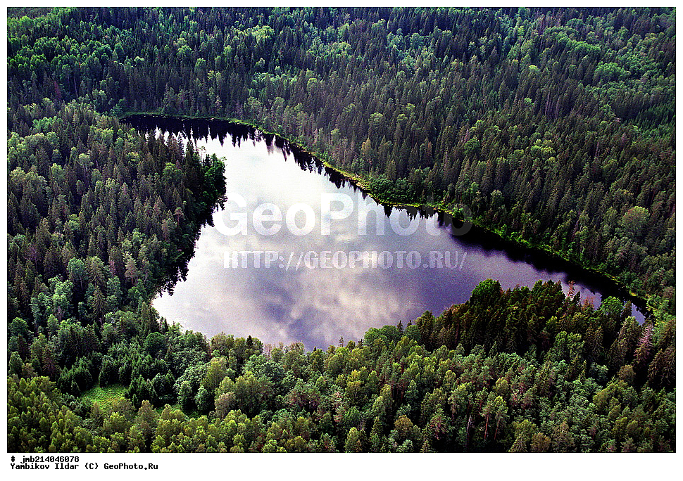 �������� �������, ����, �������, �����, �������