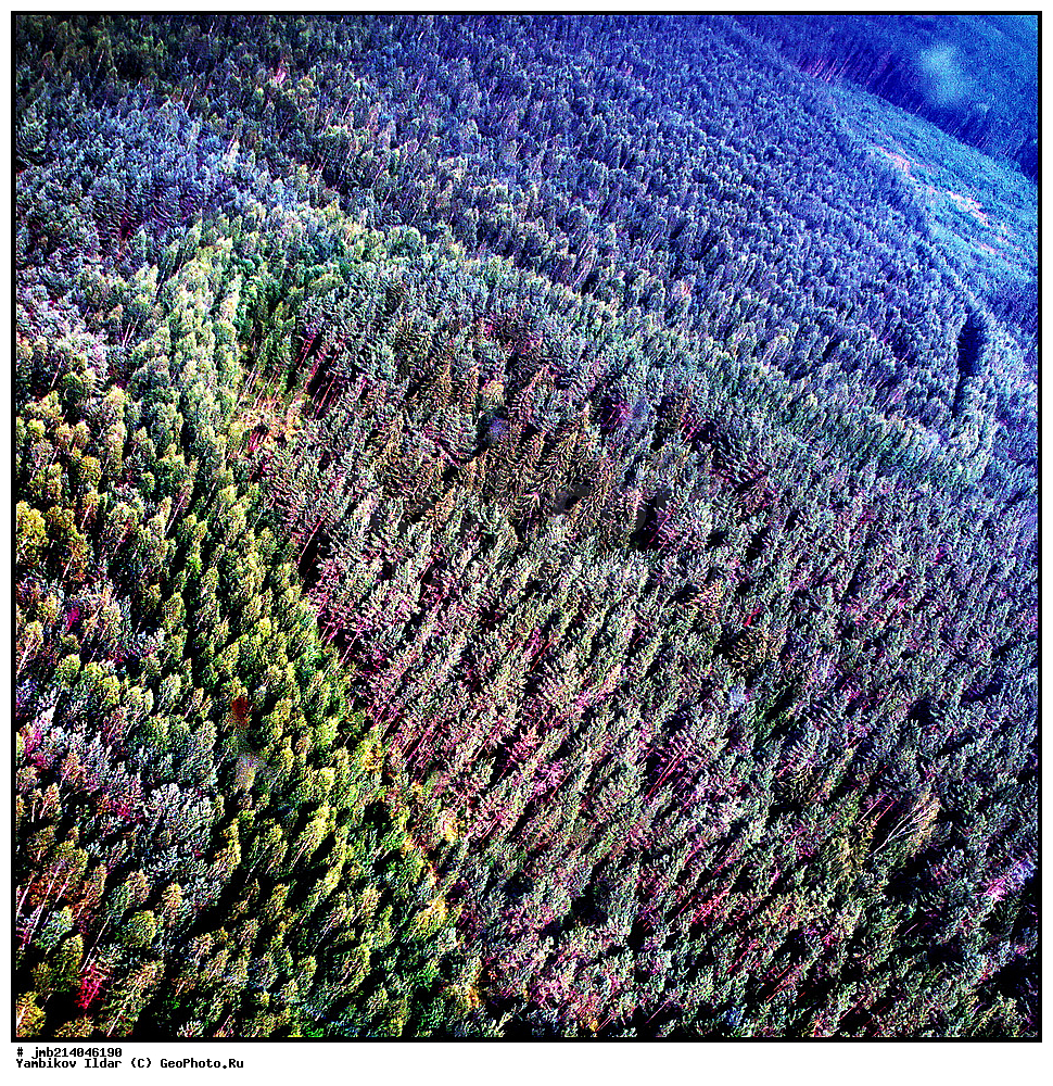 �������� �������, ����, �������, �����, �������