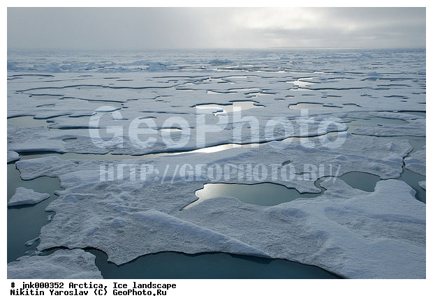 �������� �����, ���������, �����, ���, ���������, �������, �����������, ����, �����, �������, �������, �������, �����, ��������, ��������, ������, ������