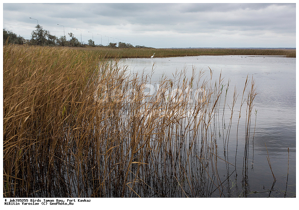 �����, ��������� �����, ����, �����, ������