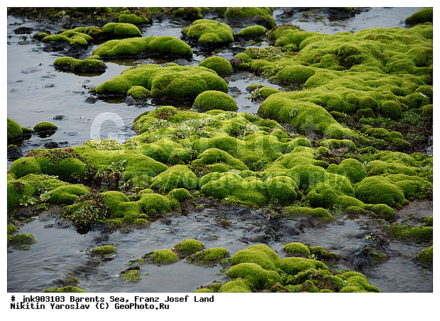 �������, ��������� ����, ��������� �����, �����, �����������, ������� ������, �����, �������, ���, ������, �������� ����, ������