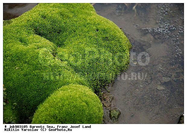 �������, ��������� ����, ��������� �����, �����, �����������, ������� ������, �����, �������, ���, ������, �������� ����, ������