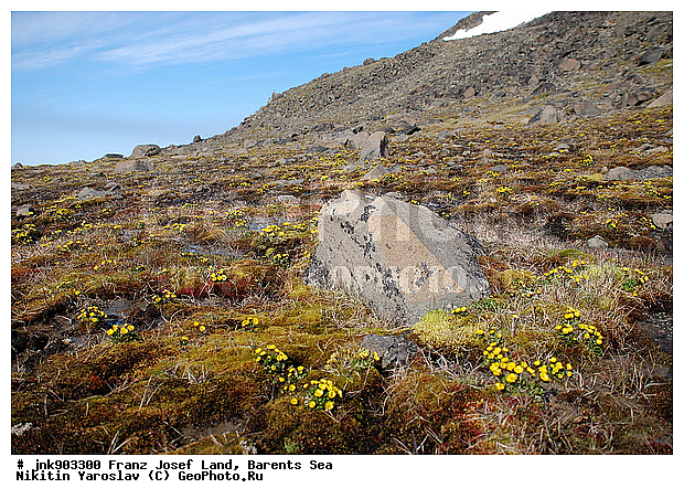 �������, ��������� ����, ������, ��������� �����, �����������, ���������, ������� ������, �����, �������, ������, �������� ����, ������� �����, ������