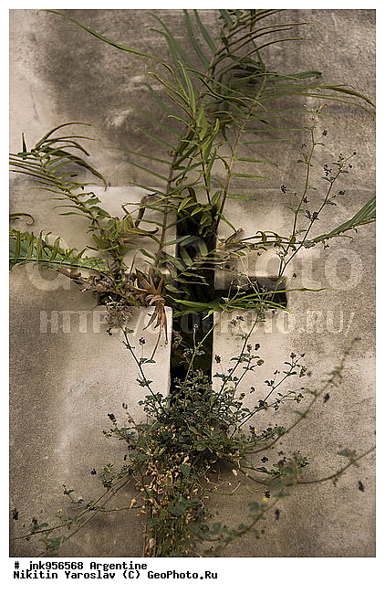 ���������, ������ �����, ����� �������, �������