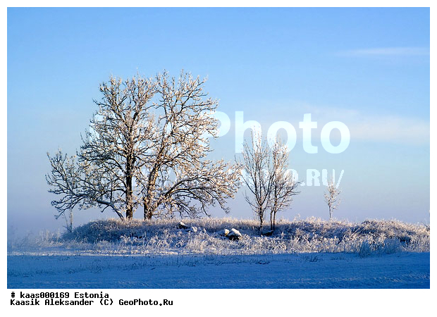 ������, �������, �������, �����, ��������, �����, ����, ������, ����������, ����, ����, �����, �������, �������, ���������, �����, ����, ������, ������, ����, ��������, ����������, ����, ��������, ����, ������, �����, �����, ����