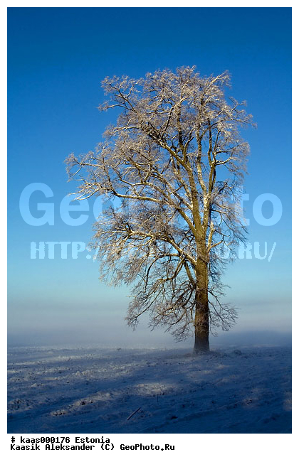 ������ ������������ �����, ������, ������, �������, �����, ��������, �����, ����, ������, ����, ����, ���������, �����, ����, ������, ����, �������, ���������, ��������, ����������, ����, ��������, ����, ������, �����, �����, ����