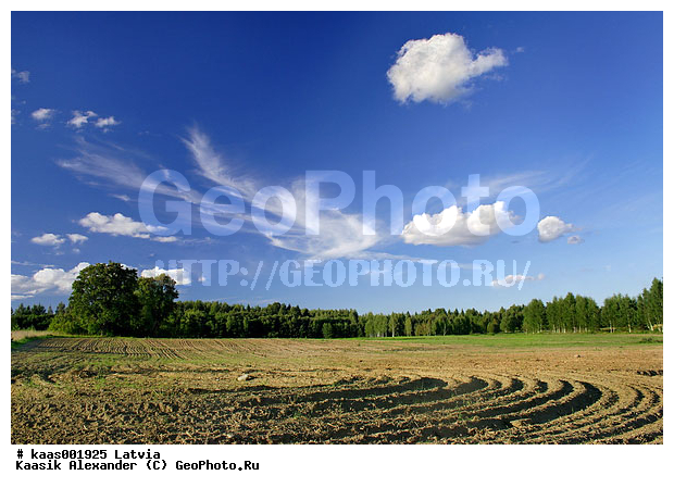 ������, �������, �������� ���������, �������, �����, ����, ������, ���������, ����������, ���, ����, ����, ������, ���������, �����, ������, ����, ����, �����, ���������, ��������, ���, �������� ���������, �������� ���������, �����, �����, ������, �����