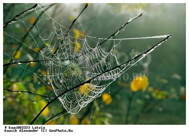 �������, ��������� �������, �������, �����, ���������, ������, ������, ����, ����, �����, ����������, �����, �������, ������, �������, ���������, �������������, ����, ���������, ������, �����, ��������