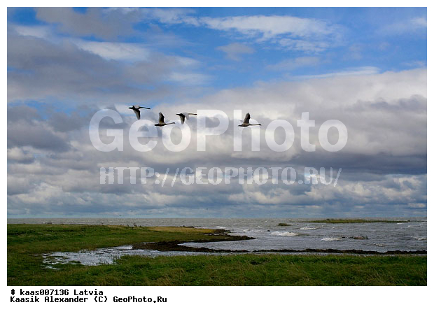 ����������, ������, �������, �������, �������, �����, ����, ������, �������, �����, ����������, ������, ����, �����, ������, ���������, ���������, ����, �������