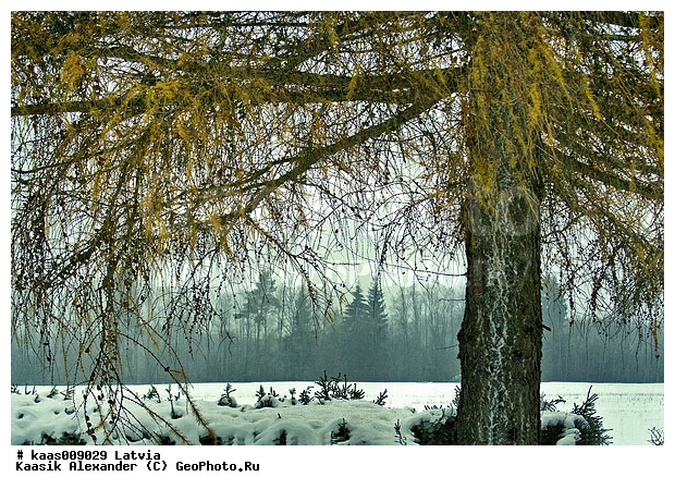 �����������, �������, ������, ������, �����, ����, ���, �����������, ������, ������, �����, �����������, ����, ��������, ���������, �����, ������, �������