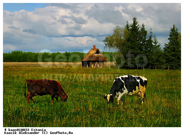 ������, �������, ����, �����, ������, ������, ������, �������, ����, �����������, �����, �����