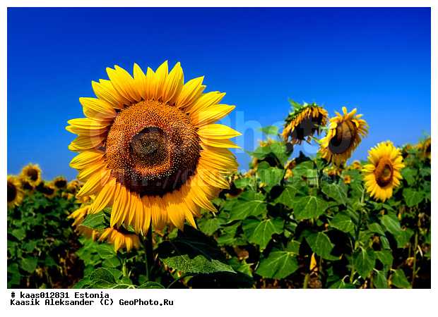 ������������, �����������, �����������, ���������, �������, ����, ������, �������, �����������, ����, �����, ��������, ����, ������, ������, ��������, �������, �����, ������