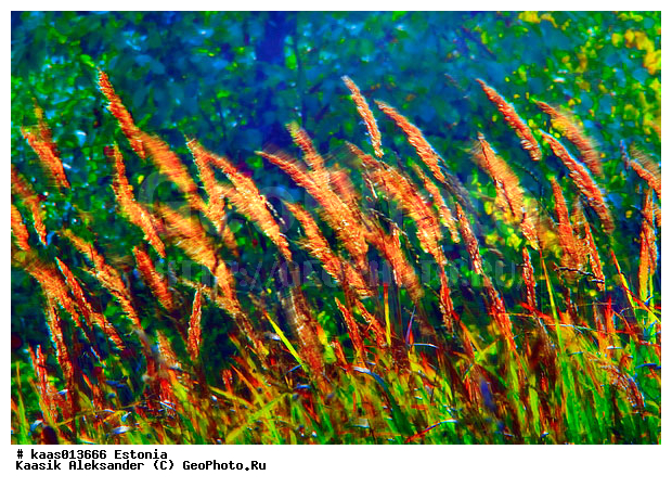 �����, �������, �����, ��������, ������, �����, �������, ����, ���, ����, �������, �����, �����, ���, �����