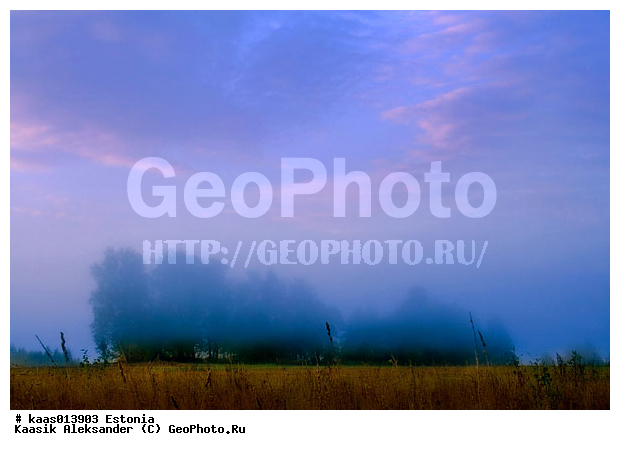 ������, �������, �����, �������, �������, ���������, �����, ������, �������, �����, ����, �������, �����, ����, ���������, ����, ������, ������, ����, ���������, �������, ����, ��������, �����, ���������, ������, �����, �����, ����, ����, ����