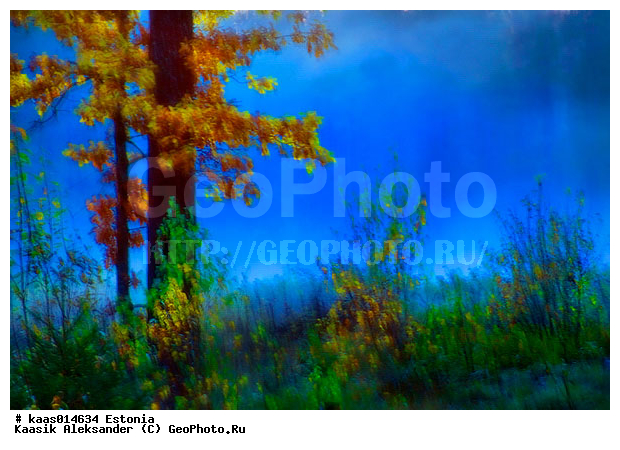 �����, �������, ��������, ������, �����, �������, ����, ���, ����, �������, �����, �����, �����, ���, �����