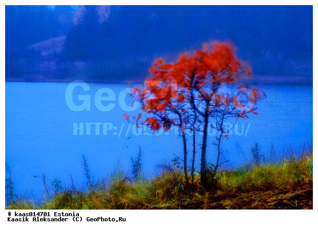 �����, �������, ����, ��������, �������, �������, ����, ���, ����, �����, ���������, �������, �����, �����, �����, ���, ����, �����