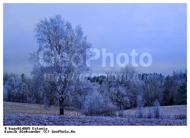 ������, �������, ������, �������, �����, �������, �����, �������, ����, ������, �������, ����, ����, ���������, �����, ����, ������, ������, ����, ��������, ����, ��������, �����, ����, �����, ����, �����, ����