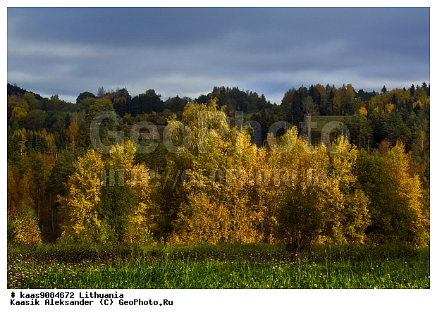 �����, �������, ���, �������, �����, ������, ��������