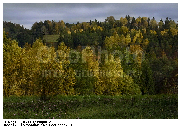 �����, �������, ���, �������, �����, ������, ��������