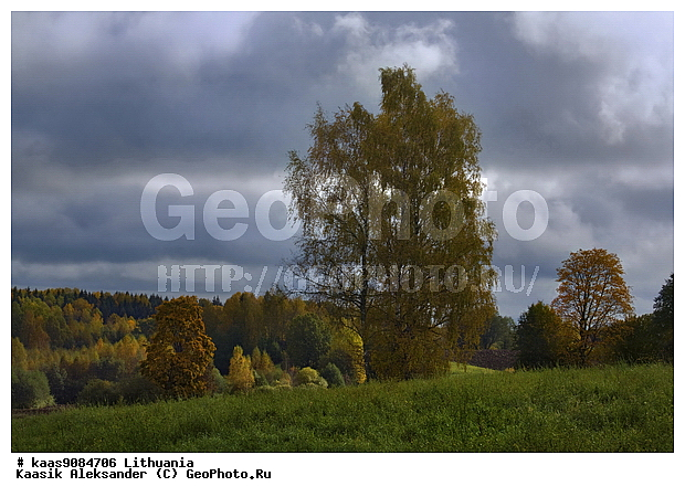 �����, �������, ���, ������, �������, �����, ������, ��������